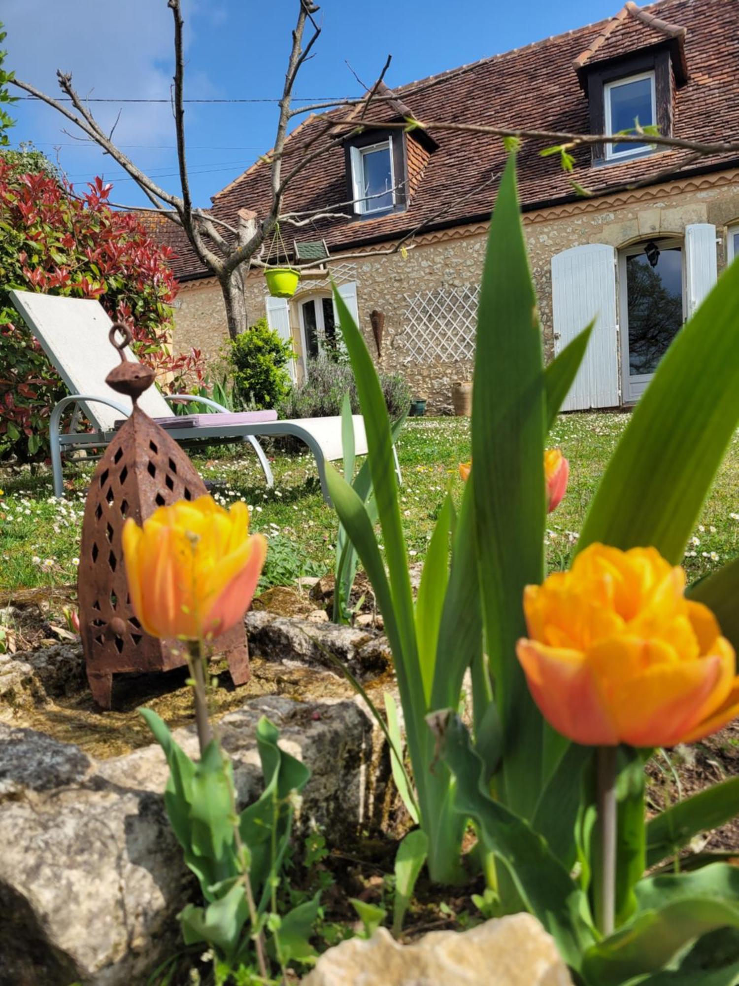 Le Clos Des Etoiles B&B Le Bugue Exterior photo